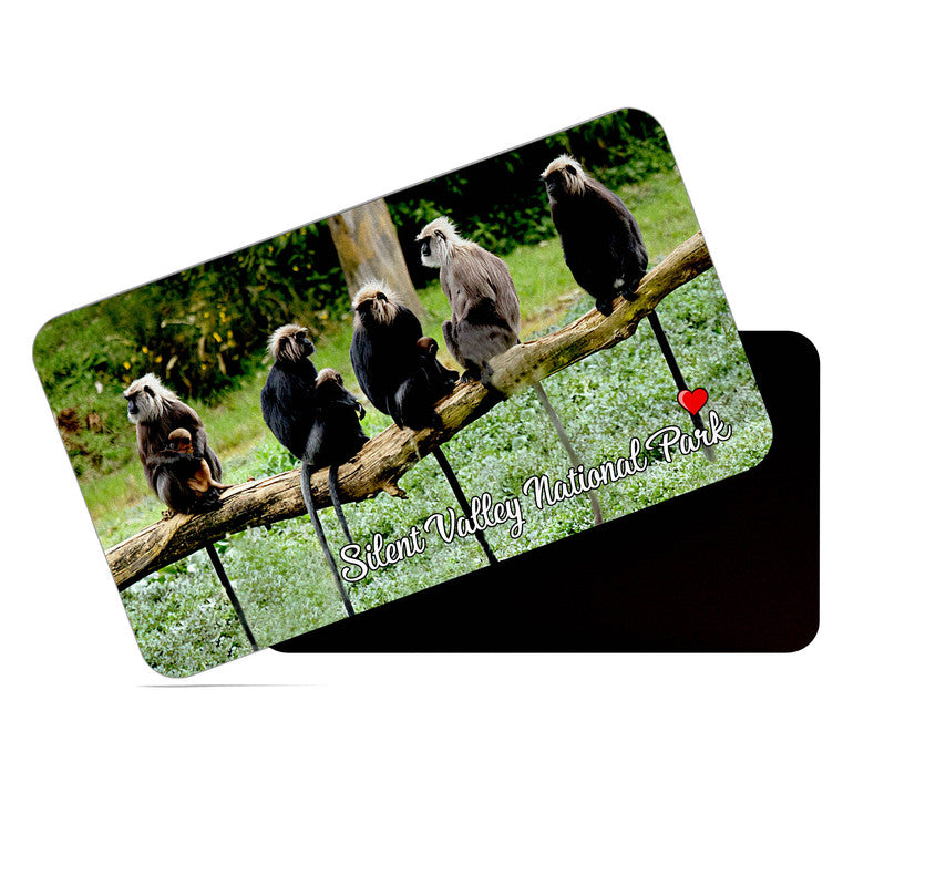 dhcrafts Rectangular Rubber Fridge Magnet / Magnetic Card Multicolor Silent Valley National Park Kerala Design Pack of 1 (8.6cm x 5.4cm)
